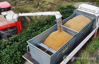    The Republic of Korea’s rice production to fall for third year in 2024: data 